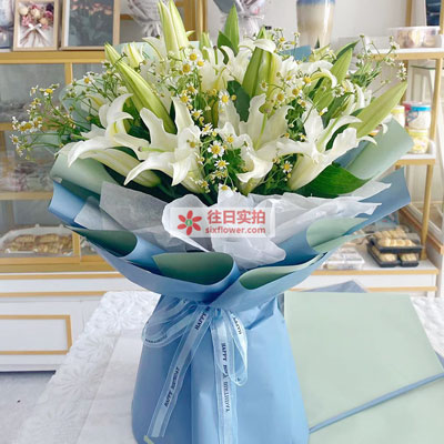 汕尾8支白色多头百合洋甘菊，互倾的思念