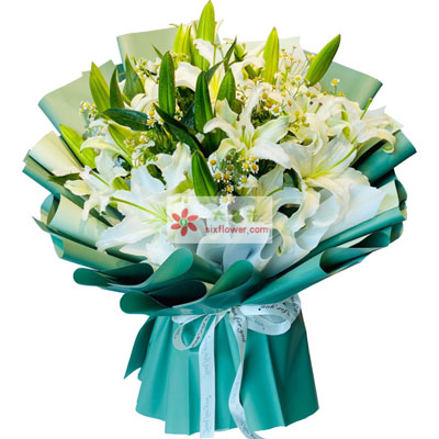 汕尾8支白色多头百合洋甘菊，如潮的思念