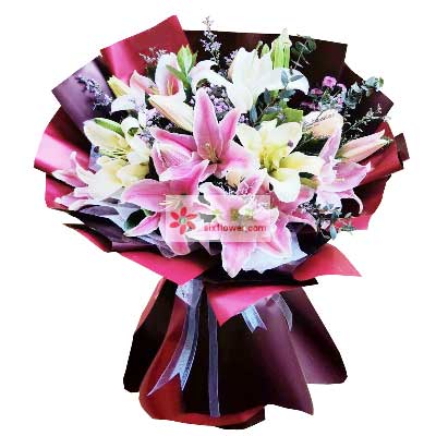 汕尾8支百合花，天天开心