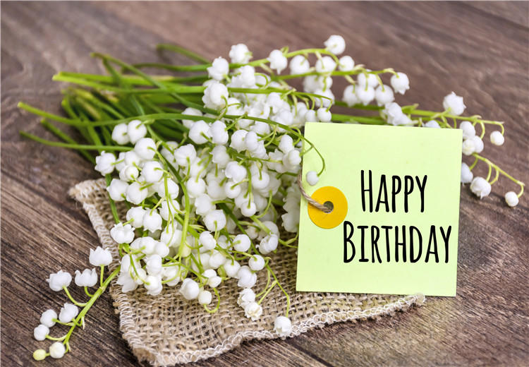 汕尾好朋友过生日，生日祝福语怎么说？